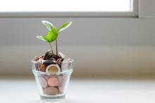Clear jar with coins and green plant